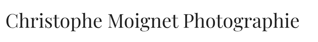 Titre du site Web